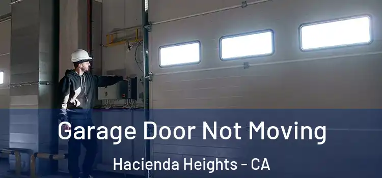 Garage Door Not Moving Hacienda Heights - CA