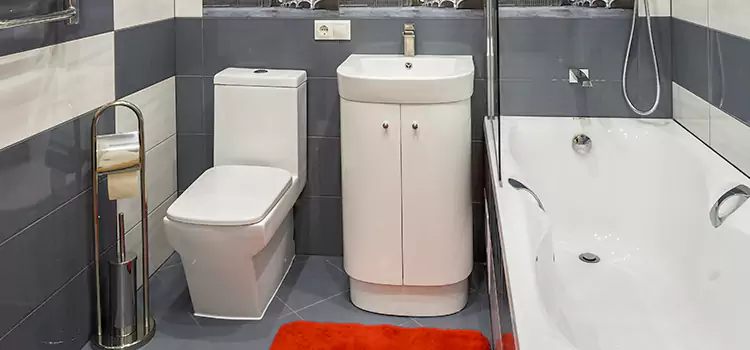 Hansgrohe Shaving Mirror Hacienda Heights